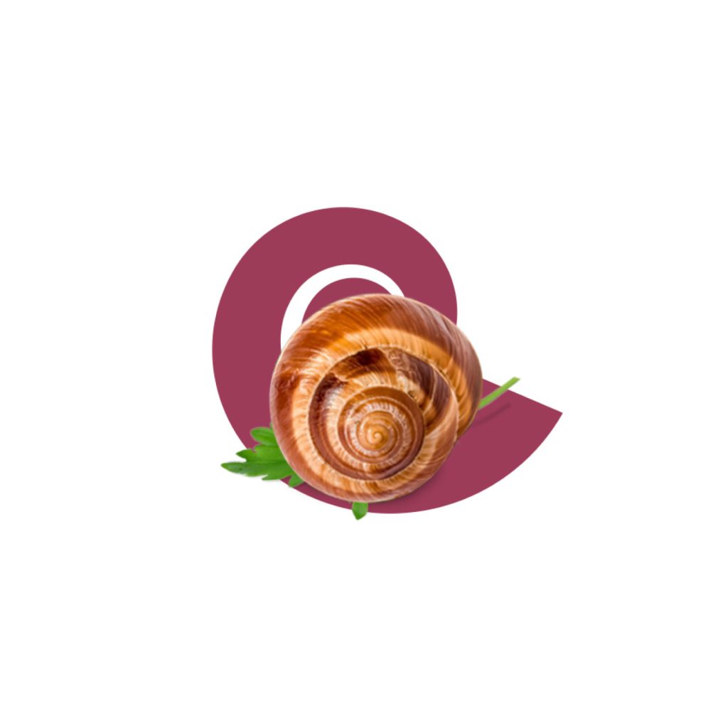 Una chiocciola appoggiata sulla spirale del simbolo del ristorante